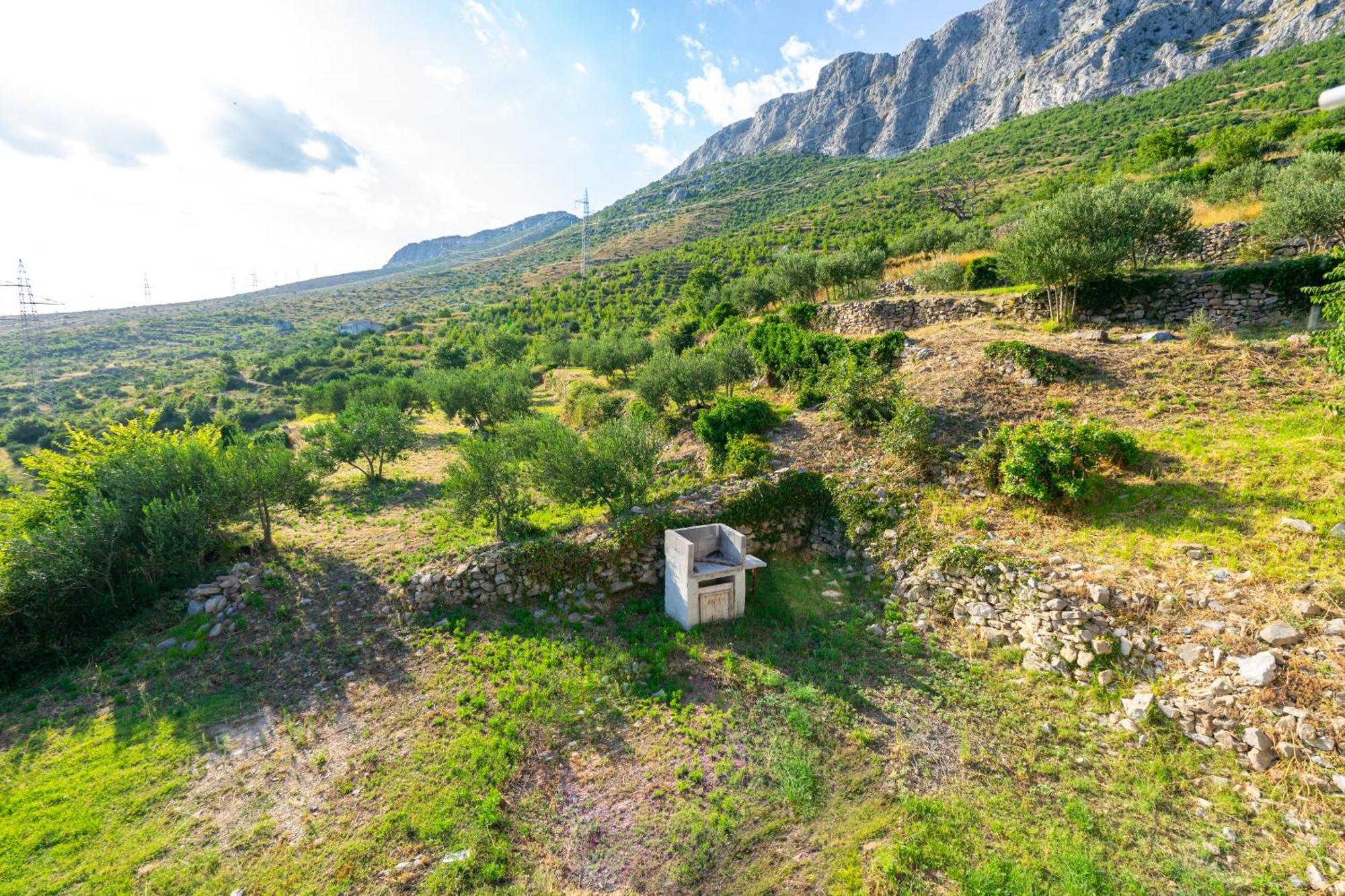 Вилла Olive Garden House In Zrnovnica With A View & Bbq Экстерьер фото